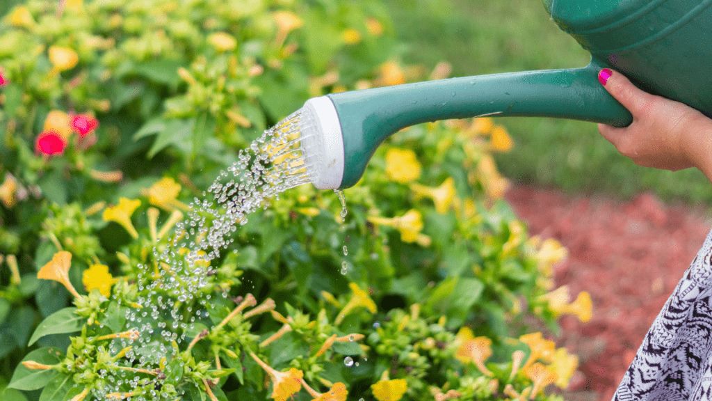Sustainable Gardening: Eco-Friendly Practices That Make a Difference