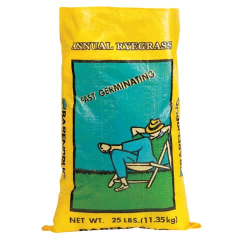 Barenbrug Annual Ryegrass Partial Shade/Sun Grass Seed 25 lb