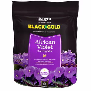 Black Gold Organic African Violet Potting Mix 8 qt