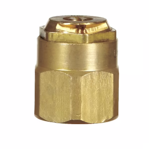 Champion 1/2 in. D X 0.8 in. L Spray Head Cap