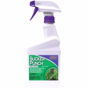 Bonide Sucker Punch Tree Roots Killer RTU Liquid 16 oz