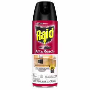 Raid Ant and Roach Killer Aerosol 17.5 oz