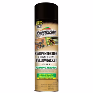 Spectracide Insect Killer Foam 16 oz