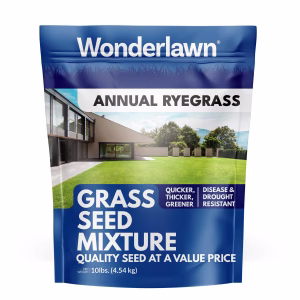 Barenbrug Annual Ryegrass Partial Shade/Sun Grass Seed 10 lb