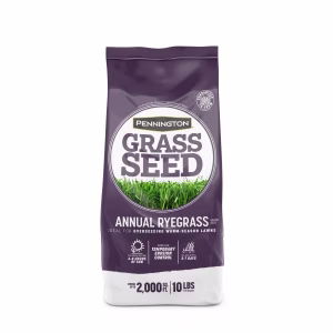 Pennington Annual Ryegrass Sun or Shade Grass Seed 10 lb