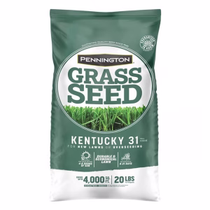 Pennington Smart Patch Tall Fescue Grass Sun or Shade Seed/Fertilizer/Mulch Repair Kit 5 lb