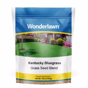 Wonderlawn Kentucky Bluegrass Full Sun Grass Seed 1 lb