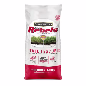 Pennington The Rebels Tall Fescue Grass Sun or Shade Grass Seed 40 lb